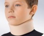 ort3.jpg